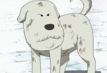 ชูชู หมาน้อยยอดกตัญญู พันธมิตรสัตว์ตัวแรกของกลุ่มหมวกฟาง!! Chouchou-Featured